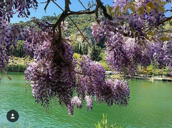 Sirius Hotel Dalyan Esterno foto